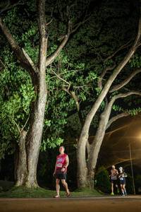 BIB: 
                            <button type="button" onclick="openModal(26547636)" class="btn btn-primary btn-sm float-right btn-popup" data-toggle="modal" data-target=".modal-high-quality">
                        <i class="fas fa-shopping-cart"></i> Add to Cart
                    </button>
                                            <button type="button" onclick="isThisMe(26547636, true)" class="btn btn-success btn-sm float-right btn-popup btn-isme hidden" data-toggle="tooltip" data-placement="bottom" title="นี่คือรูปของคุณใช่ไหม คลิกที่นี่เพื่อเอาเข้าอัลบั้ม">
                        <i class="fas fa-plus"></i> Add to album
                    </button>
                    <button type="button" onclick="isThisMe(26547636, false)" class="btn btn-warning btn-sm float-right btn-popup btn-isnotme hidden">
                        <i class="fas fa-ban"></i> Remove from album
                    </button>